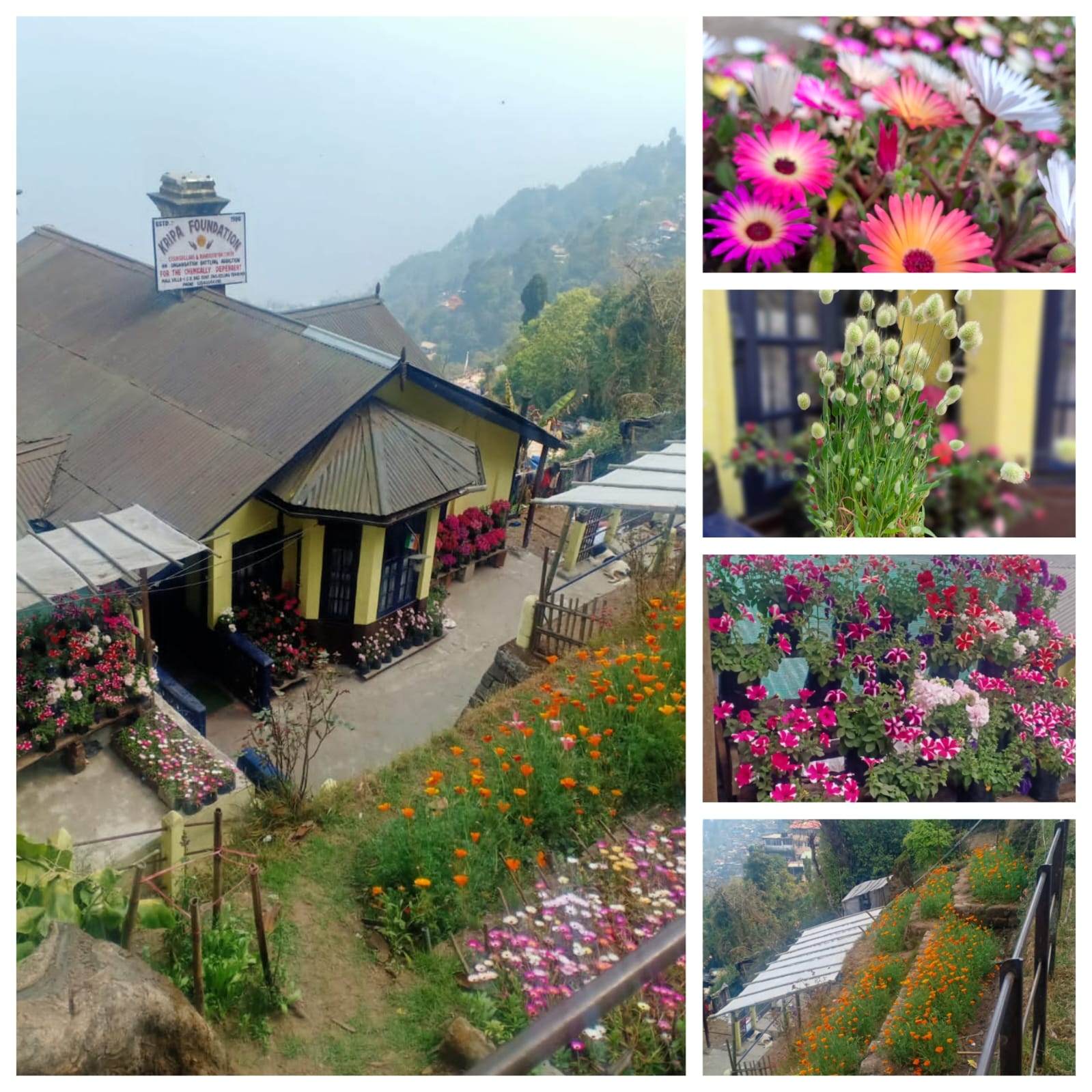 Drug Rehabilitation Centre in Darjeeling
